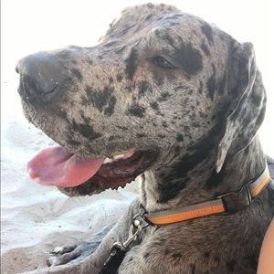 Meet your Posher, Megan